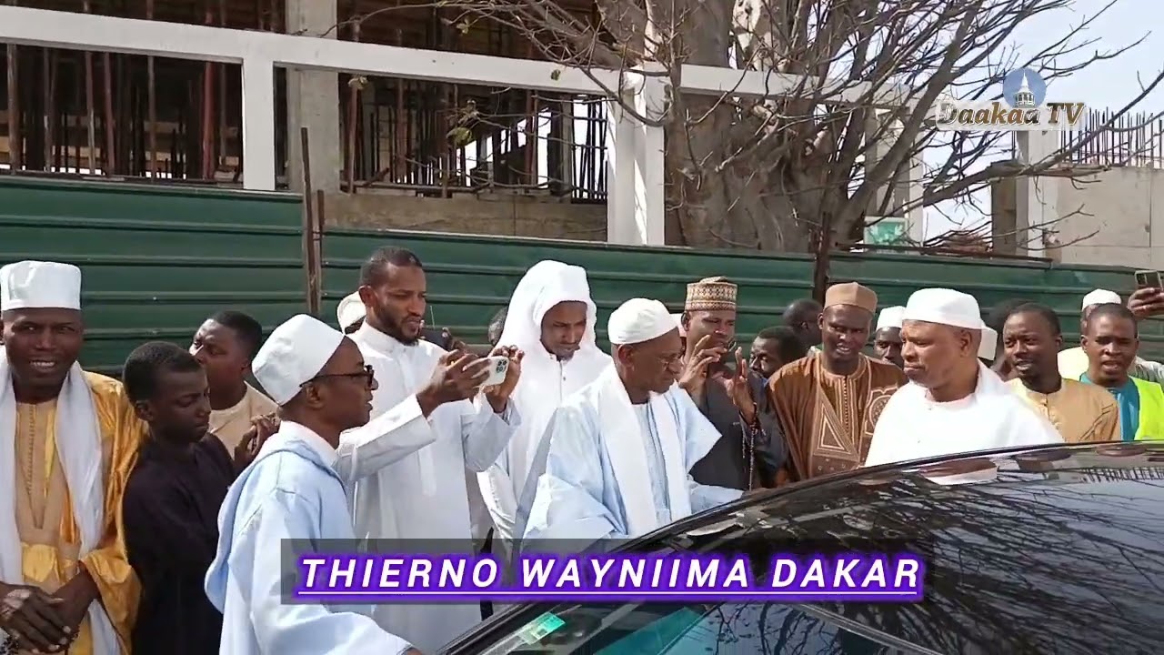 Thierno wayniima Dakar faade Tamba 15 février 2026