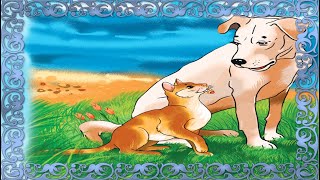 Порно веб-камера орыс қыздарының видеосы