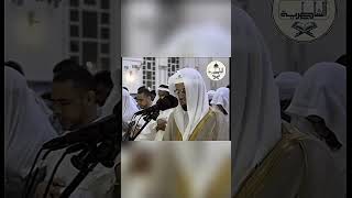 #ابو_بكر_الشاطري #قرآن #quran #shatri #abubakralshatri #rare_recitation #ramadannights screenshot 4
