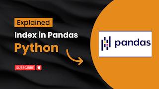 Index in Pandas Python | Reset, Set & Rename Index Explained | #elseritesh