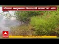 Buldhana Fire : बुलढाण्यातील मोताळा तालुक्यात मियावाकी प्रकल्पाला आग, हजारो झाडं जळून खाक