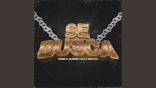 Se Busca
