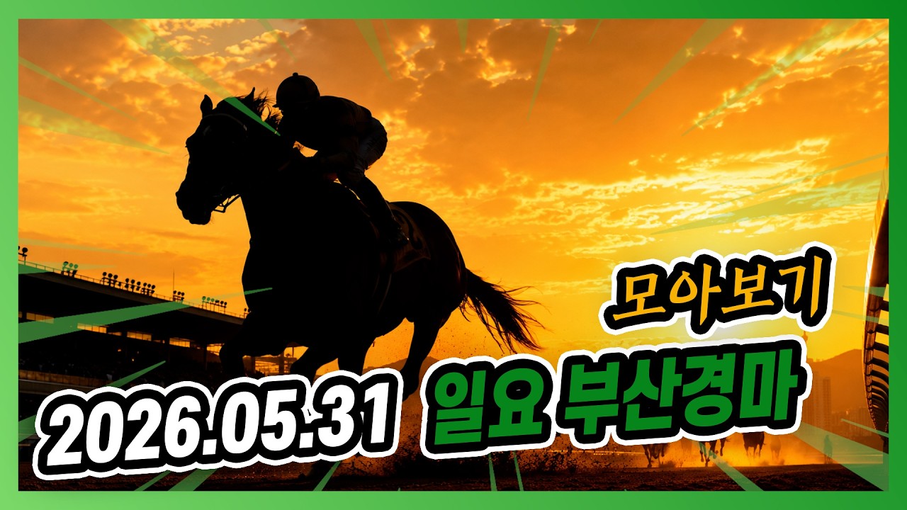 2026년 5월 31일 일요 부산경마 전체경주 모아보기