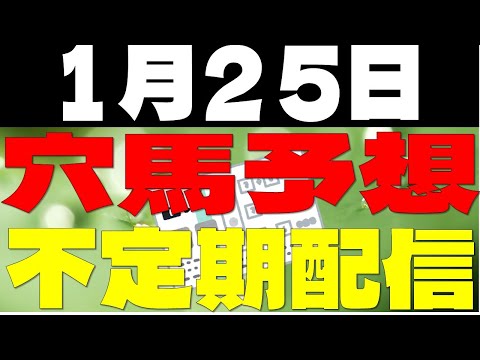 メインレース狙いのずんだもんのYouTube動画サムネイル
