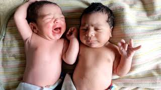 Twins Newborn babies with adorable Expression just after birth