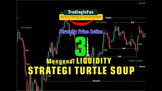 part 3 BELAJAR STRATEGI TURTLE SOUP (false Breakout)