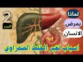 اسباب تغي ر الخلط الصفراوي والخلط الولادي تفسير شامل للأمراض الصفراوية الطب الصيني والتغذية العلاجية