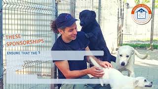 SUST Annual Review 2024 – A year full of help, hope and heart for animals