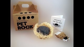 КАМЕНЬ ДОМАШНЕЕ ЖИВОТНОЕ | PET ROCK | МИЛЛИОН ДОЛЛАРОВ НА ОБЫЧНЫХ КАМНЯХ