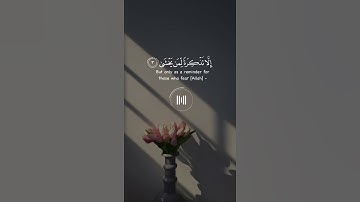 " طه ما أنزلنا عليك القرآن لتشقى إلا تذكرة لمن يخشى" تلاوة هادئة 💚🍃 بصوت القارئ بدر_النفيس