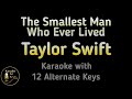 Taylor swift  the smallest man who ever lived karaoke instrumental lower higher male  original key