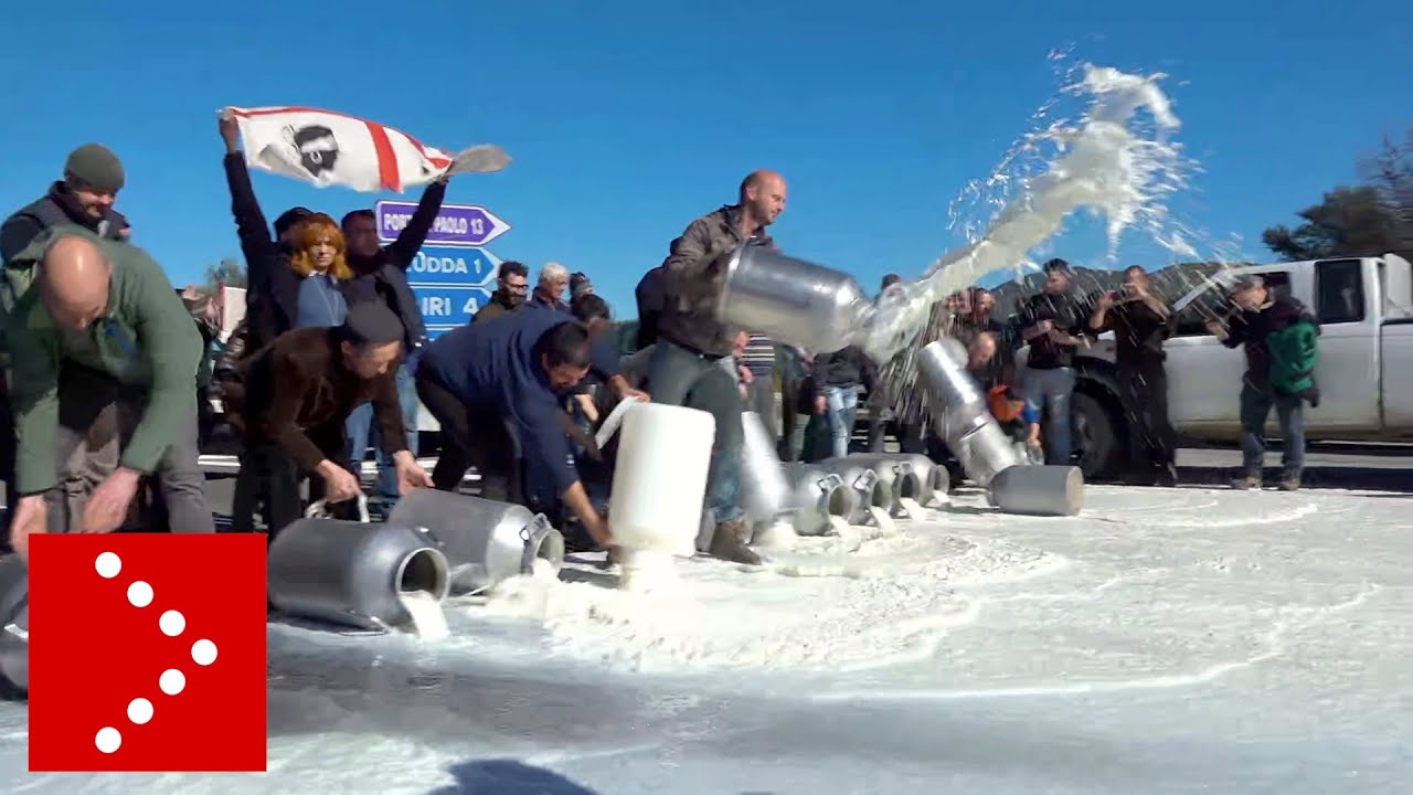 Nuove proteste dei pastori sardi: bloccata la Olbia-Nuoro all'altezza di Loiri Porto San Paolo