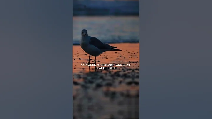 💪Step Outside Your Comfort Zone: Achieve the Impossible!💪