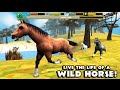 🐴👍Wild Horse Simulator - Compatible with iPhone, iPad, and iPod touch iPhone 5.