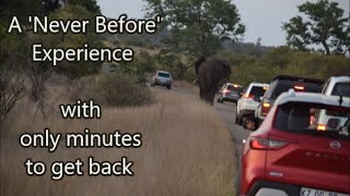 Satara: a unique Kruger Traffic Jam