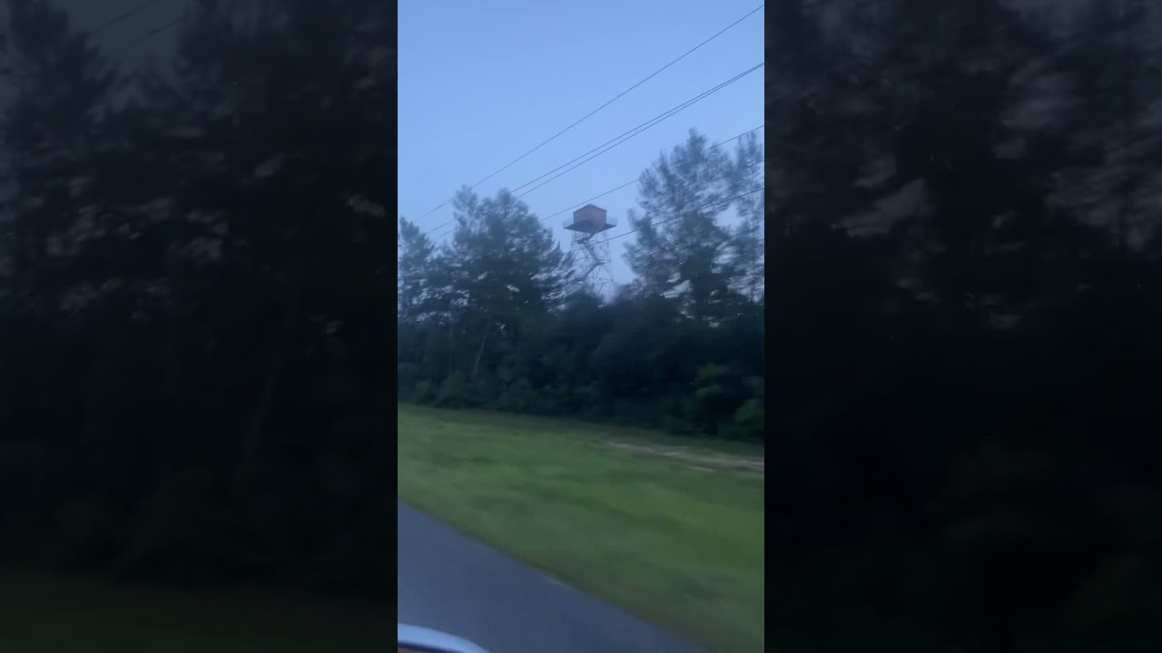 Central fire tower Ocala National Forest 