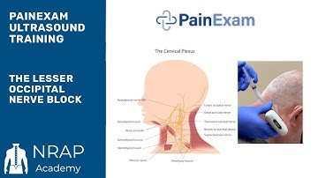 The Ultrasound Guided Lesser Occipital Nerve Block  (NRAP Academy