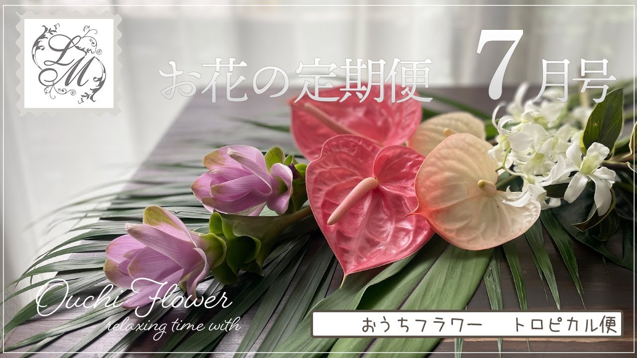 お花の定期便7月号 夏に選ぶおすすめのお花紹介 トロピカル便 おうちフラワー 55 Youtube