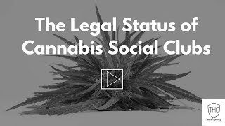Cannabis Social Clubs