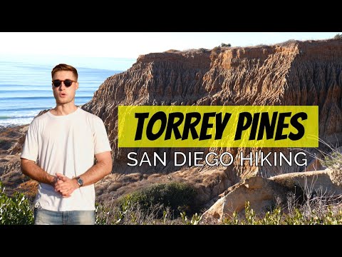 Video: Torrey Pines Hiking: Woods, Wildlife at Waves