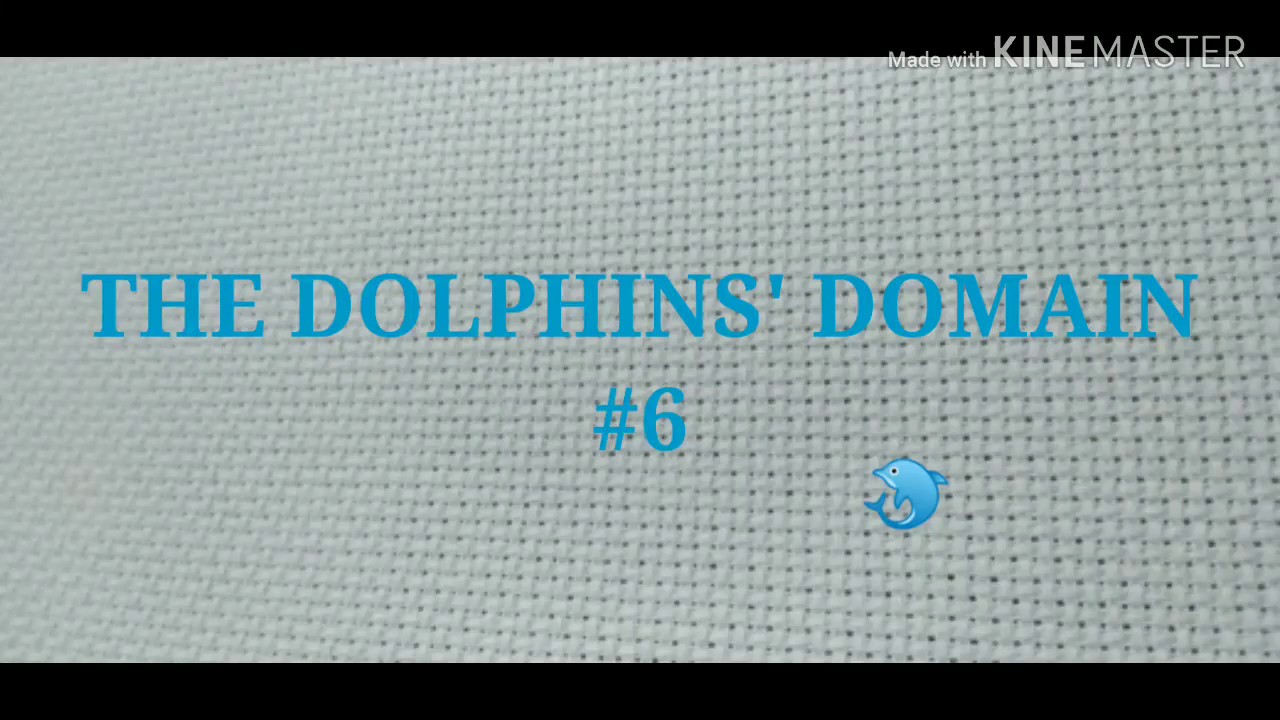 THE DOLPHINS' DOMAIN ♯6 - YouTube