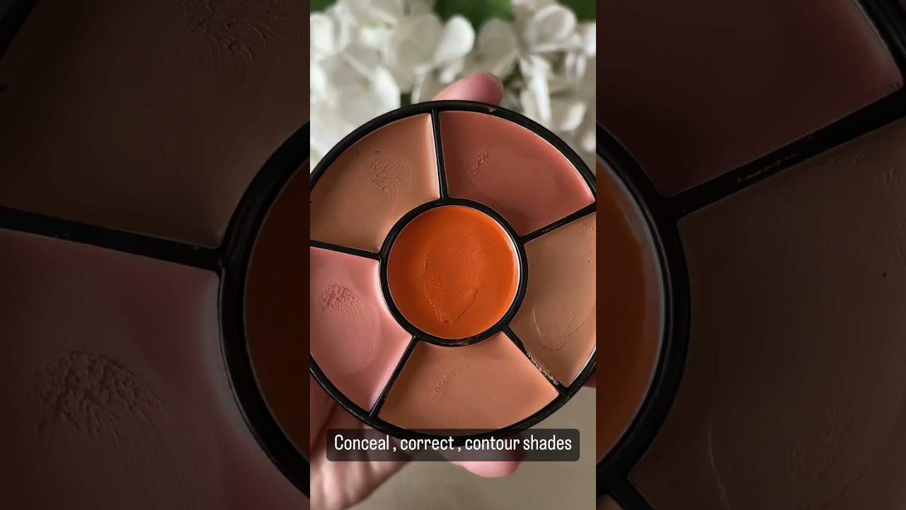 Insight pro concealer palette just Rs199 