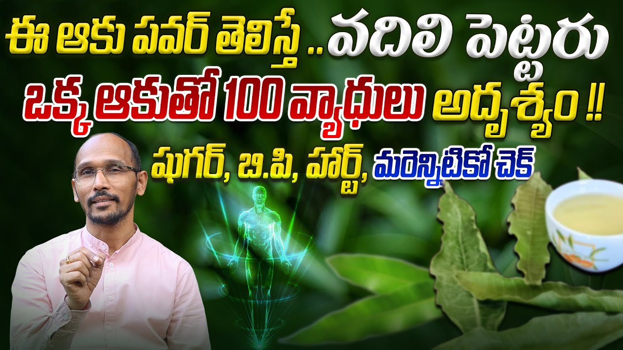 ఈ ఆకు పవర్ తెలిస్తే .. వదిలి పెట్టరు ఒక్క ఆకుతో 100 వ్యాధులు అదృశ్యం | Dr.Madhubabu | Health Trends