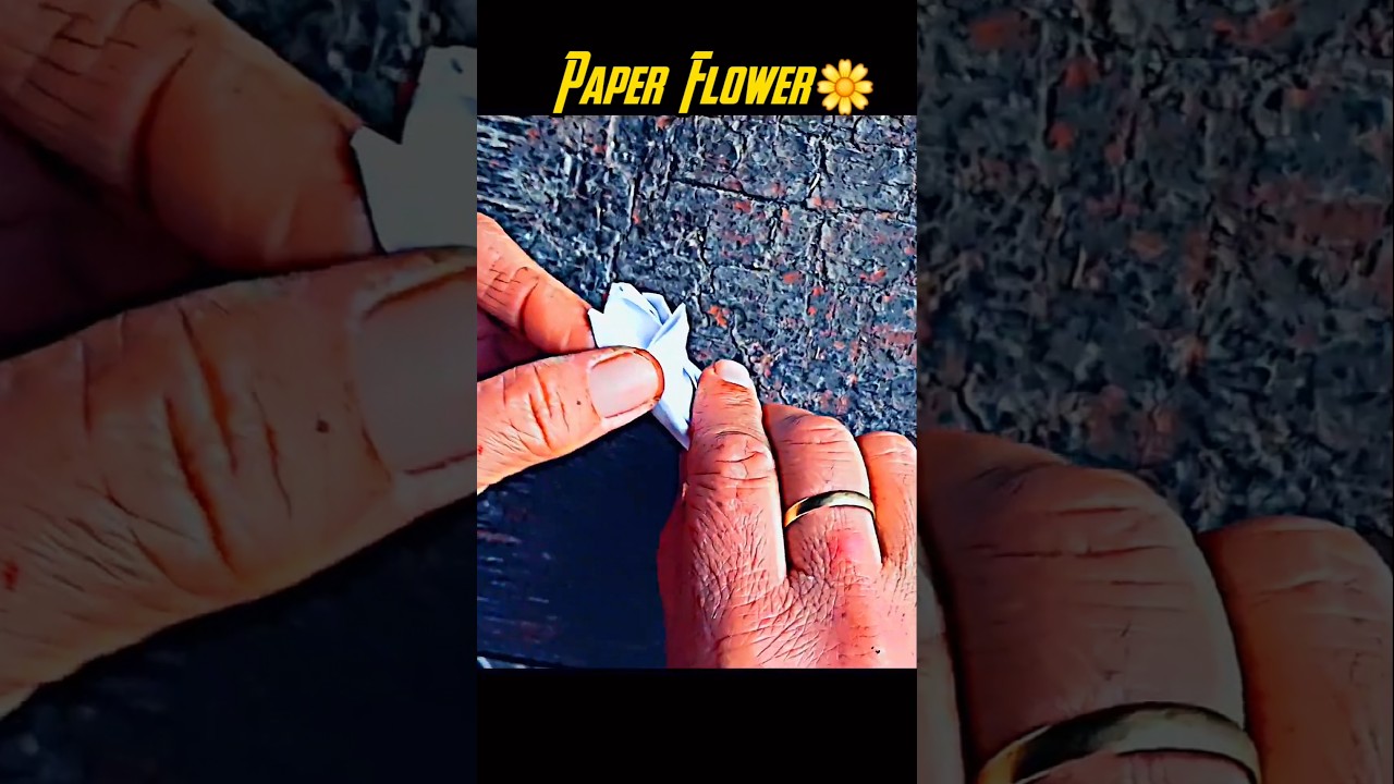 This Paper Flower Blooms Like Magic! 🌸✂️ #Shorts