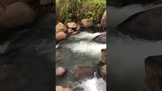 Fast Flowing River Walta | Mt Hagen | Western Highlands Province 🇵🇬🏝️