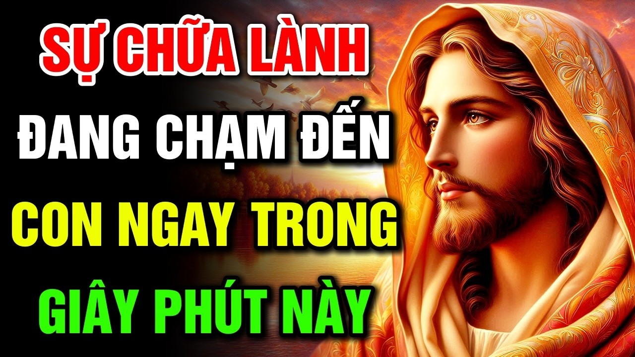 🔴 SỰ CHỮA LÀNH ĐANG CHẠM ĐẾN CON NGAY TRONG GIÂY PHÚT NÀY | Lời Chúa Hôm Nay