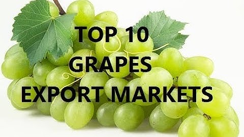 TOP 10 GRAPES EXPORT MARKET