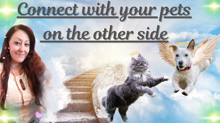 How to communicate with your pets that have passed away | Pets in the afterlife