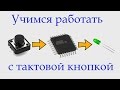 Программирование микроконтроллеров avr для начинающих