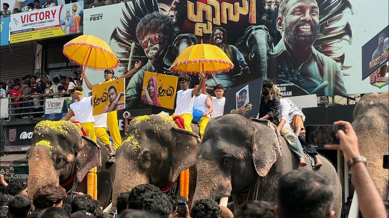 💥തൃത്താല ഫെസ്റ്റ് 2026 🤩ഗജവീരന്മാർ  അണിഞ്ഞിരുന്നപ്പോൾ രാവിലത്തെ കാഴ്ച
