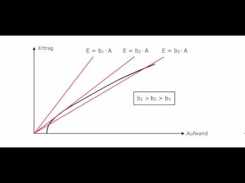 Minimalprinzip einfach erklärt mit Beispielen und Übungen