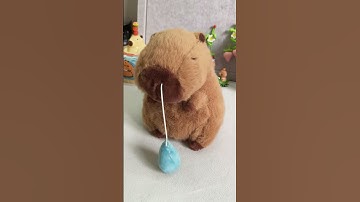 The capybara has caught a cold with a runny nose yet again #capybara #cute #toys