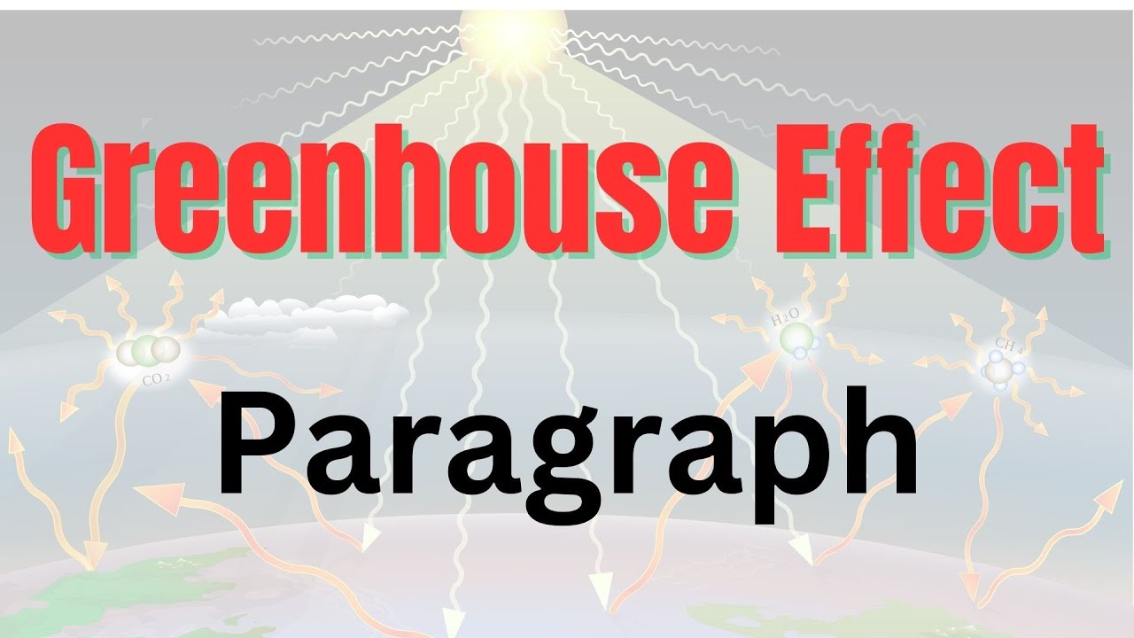 Greenhouse Effect Paragraph YouTube