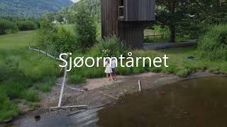 Sjøormtårnet Seljord, Telemark