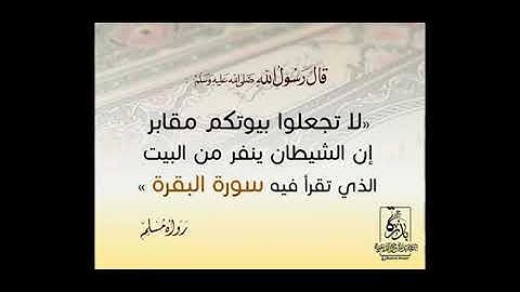 سةرة البقرة كاملة للقارئ مراد سباطي الجزائري
