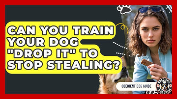 Can You Train Your Dog "Drop It" To Stop Stealing? - Obedient Dog Guide