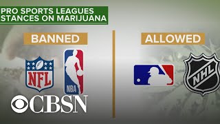 Major league baseball is clarifying its policies surrounding marijuana
three months after removing it from the banned substance list. david
samson, host of t...