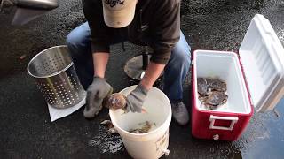 How to clean Dungeness Crab