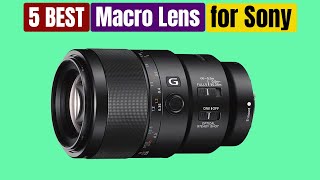 Best Macro Lenses for Sony of 2024 [Updated]