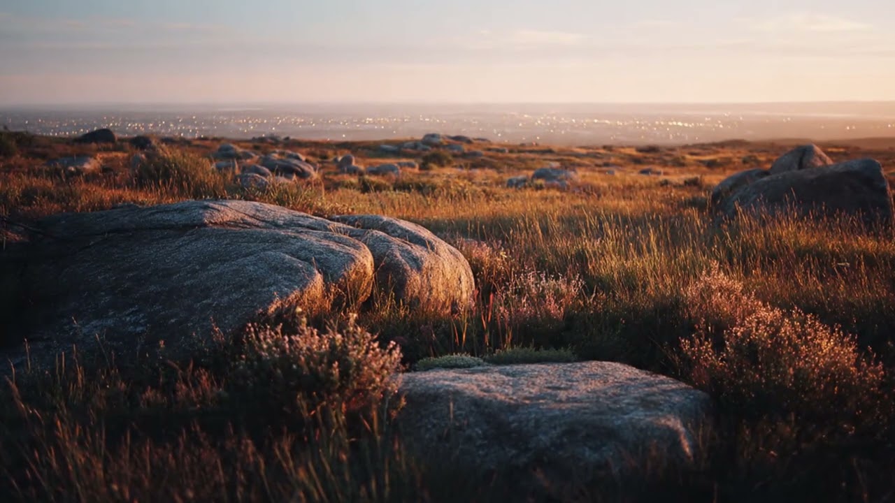 Medieval Fantasy Relaxation Music | Ancient Forest Peace