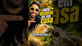 Nauplios de artemia salina, o alimento que todo criador de peixe deveria conhecer