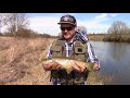 Season Opening for Trout, Chub and Hucho on Traisen River AUSTRIA