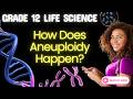 Grade 12 Life Sciences | Aneuploidy Explained 🧬