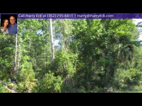 3411 S Michigan Boulevard, Homosassa, FL home video tour