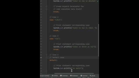\\switch statement in java//
