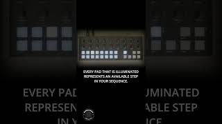 Celebrity The Modular Minute 192: Step Sequencing With the T-1 Net Worth